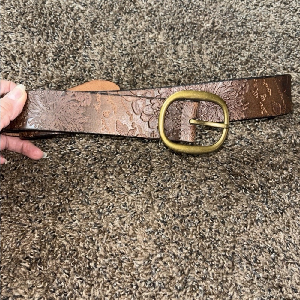 Fossil belt
